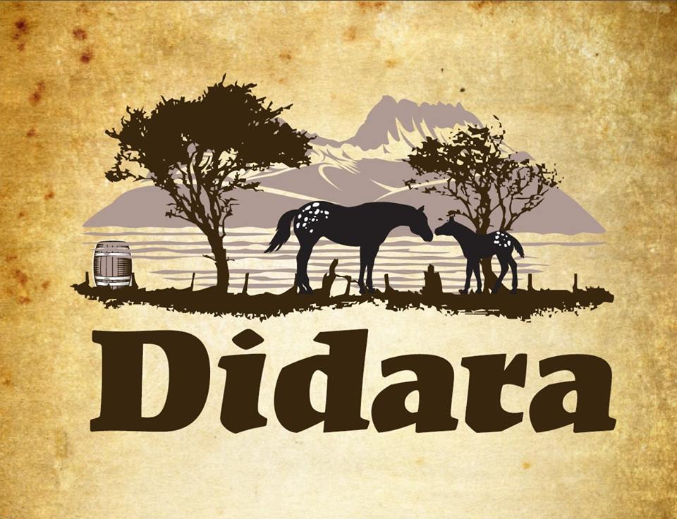 Didara 1